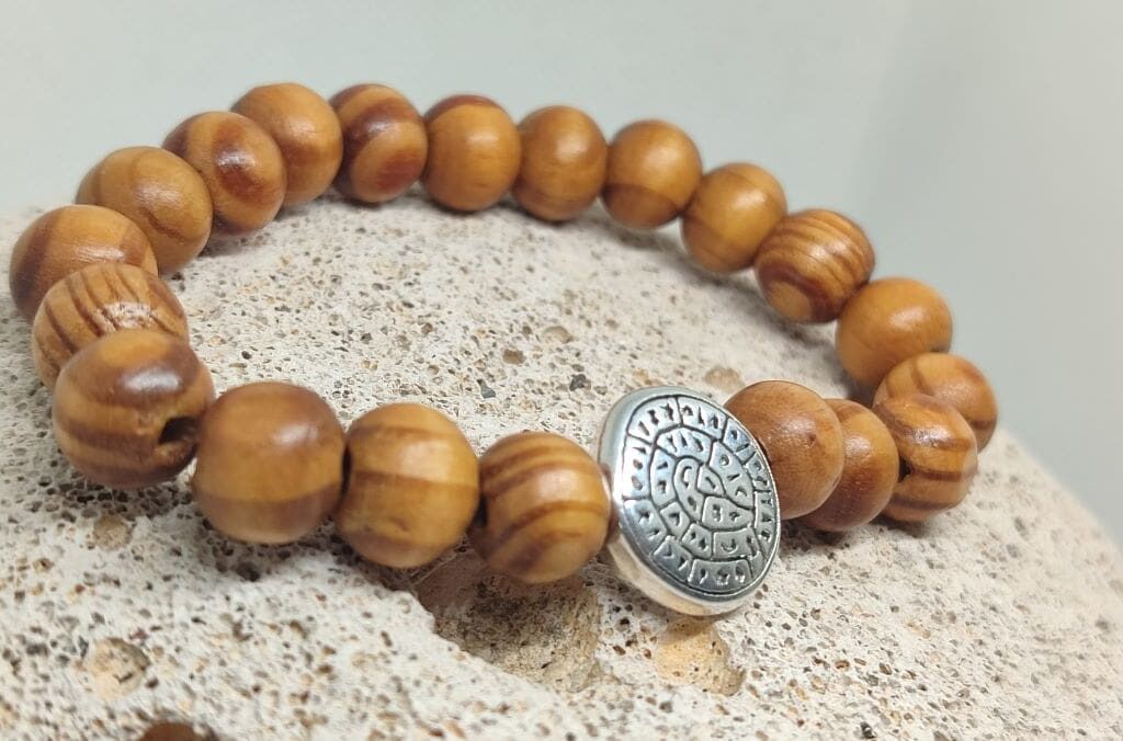 Unisex βραχιόλι σειράς "Terra Pulse" με το Δίσκο της Φαιστού ασημί